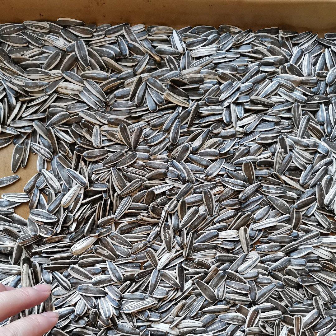 特别香的烤箱版炒瓜子