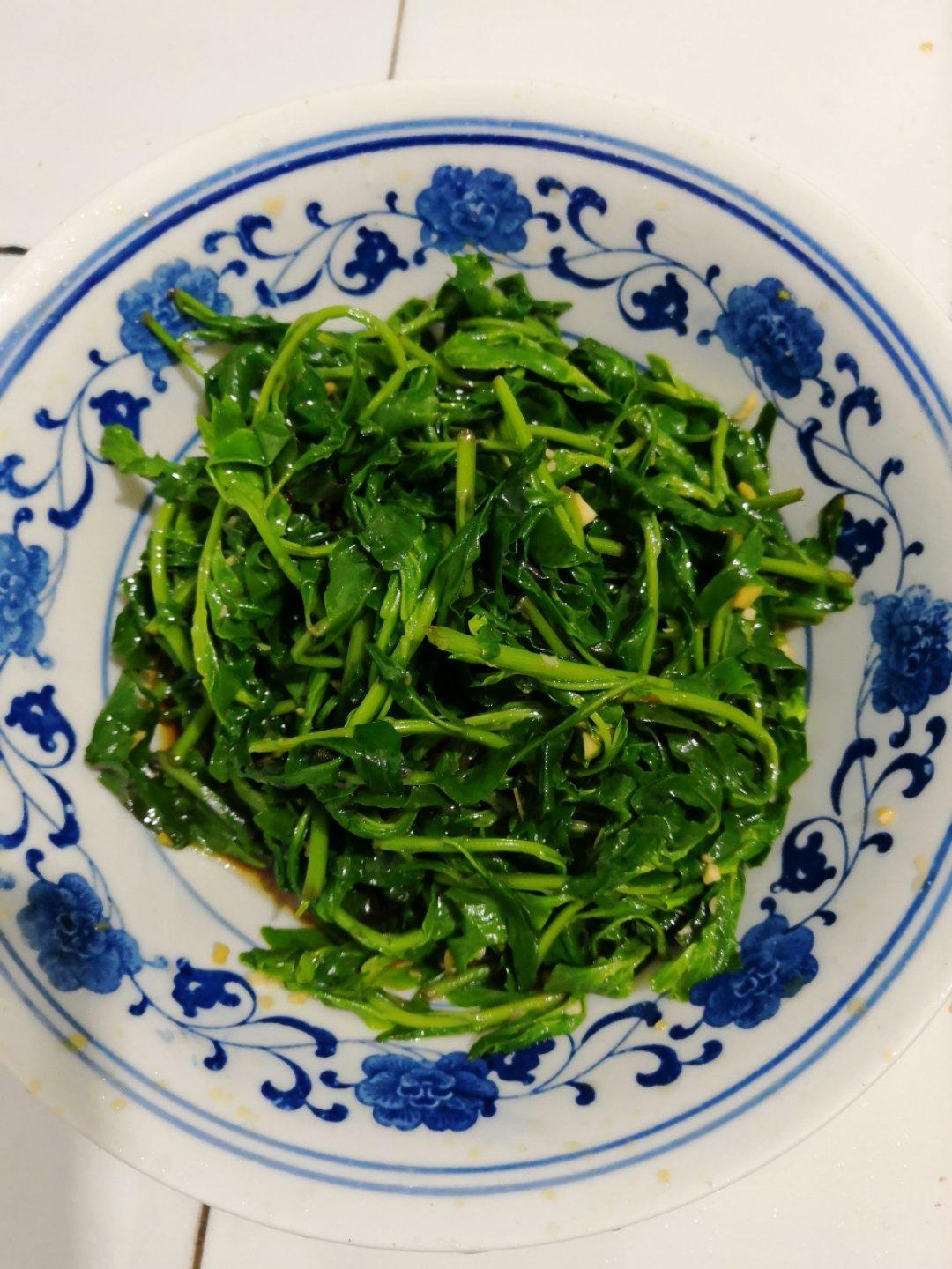 凉拌枸杞尖的全部作品