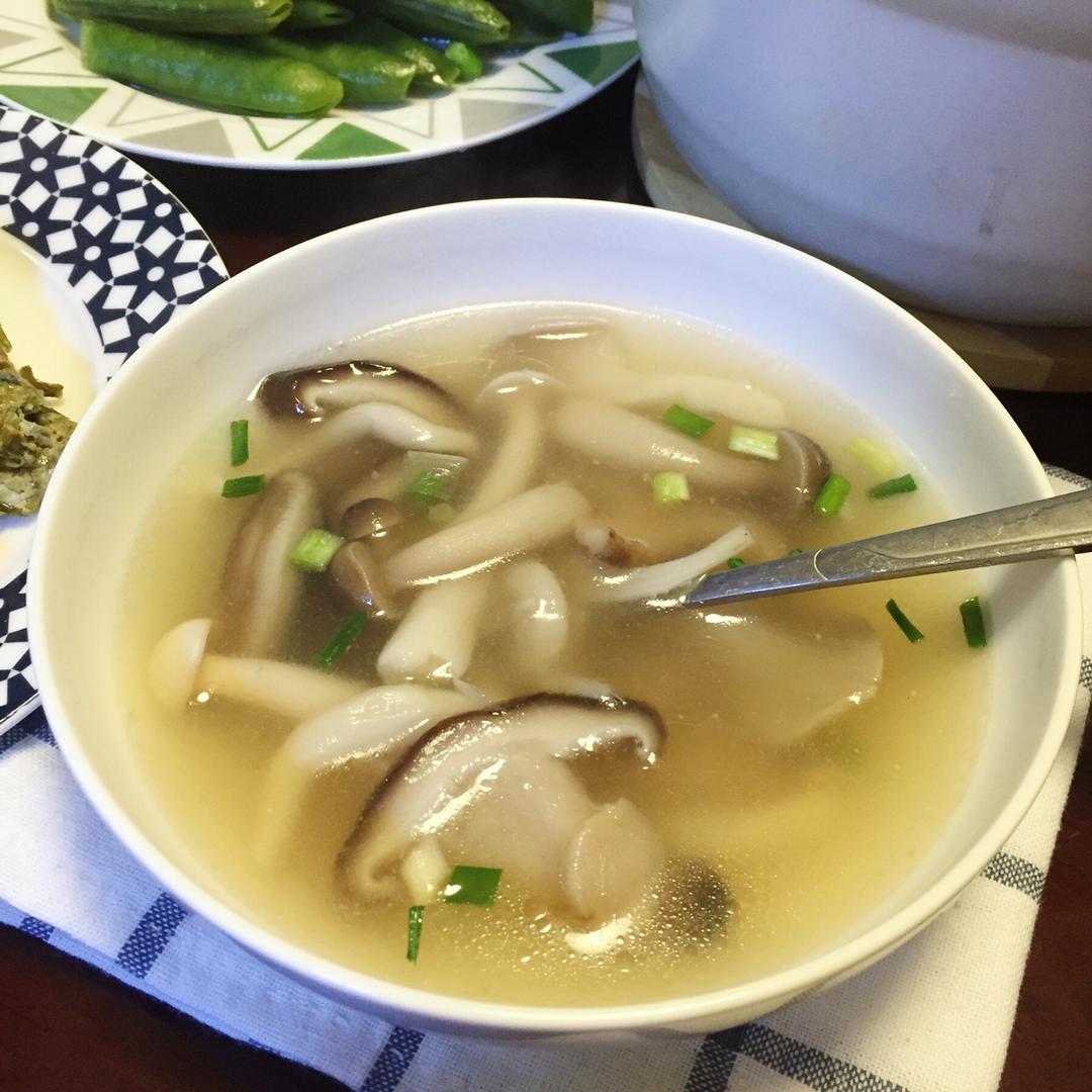 冬日暖汤——菌菇汤