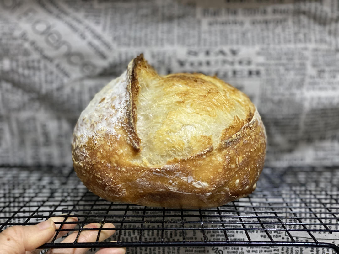 视频教程 天然酵种欧包 基础配方＆制作流程