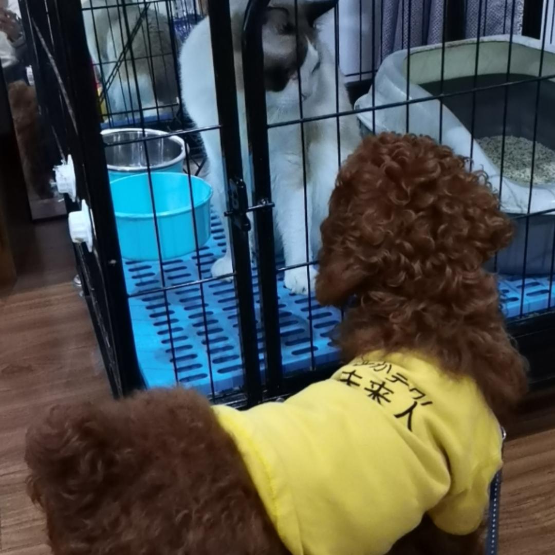 美食爱好者陆拉拉