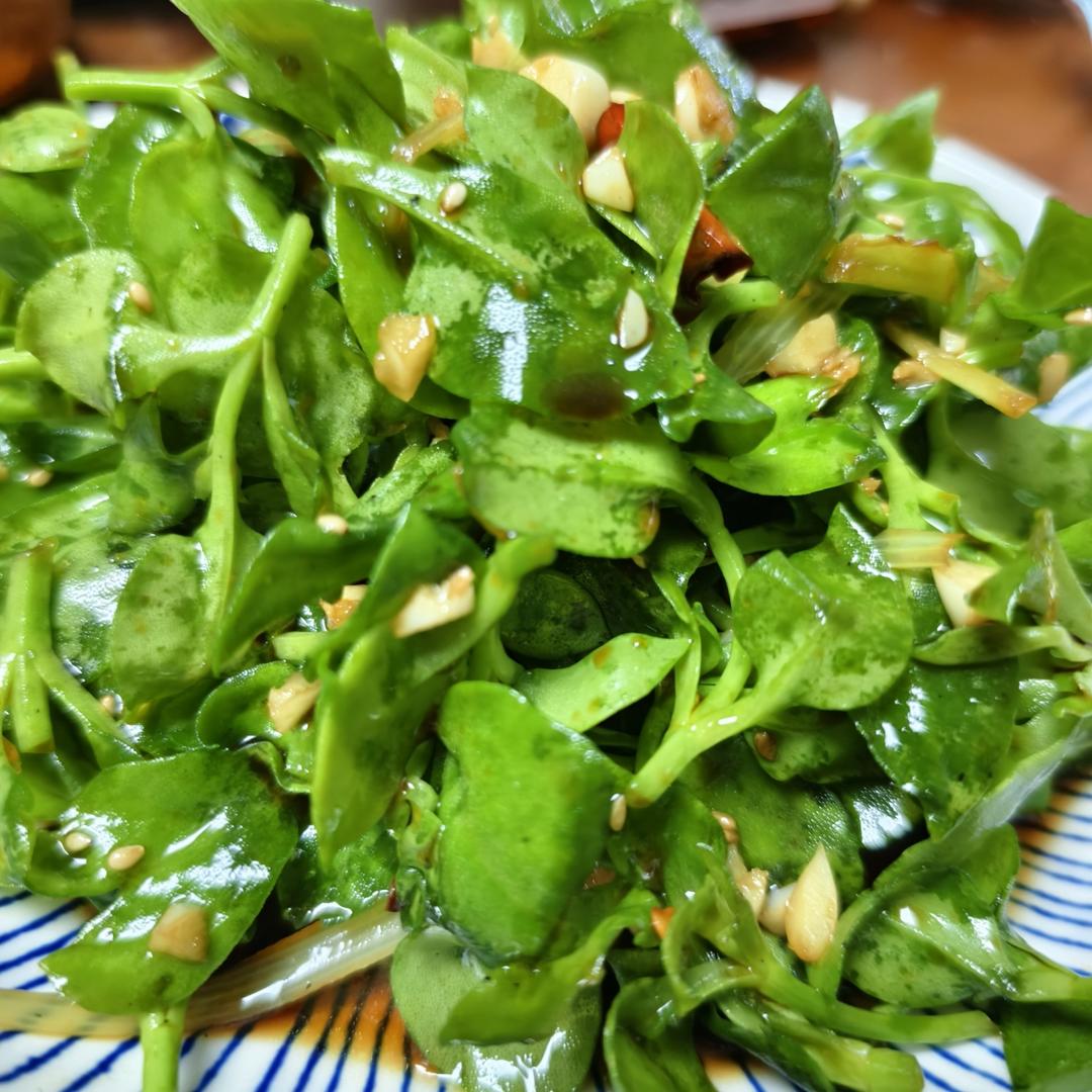 凉拌穿心莲（简约版）