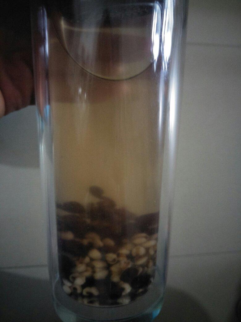 美白祛湿又好喝的水！红豆薏米茶，泡水喝！