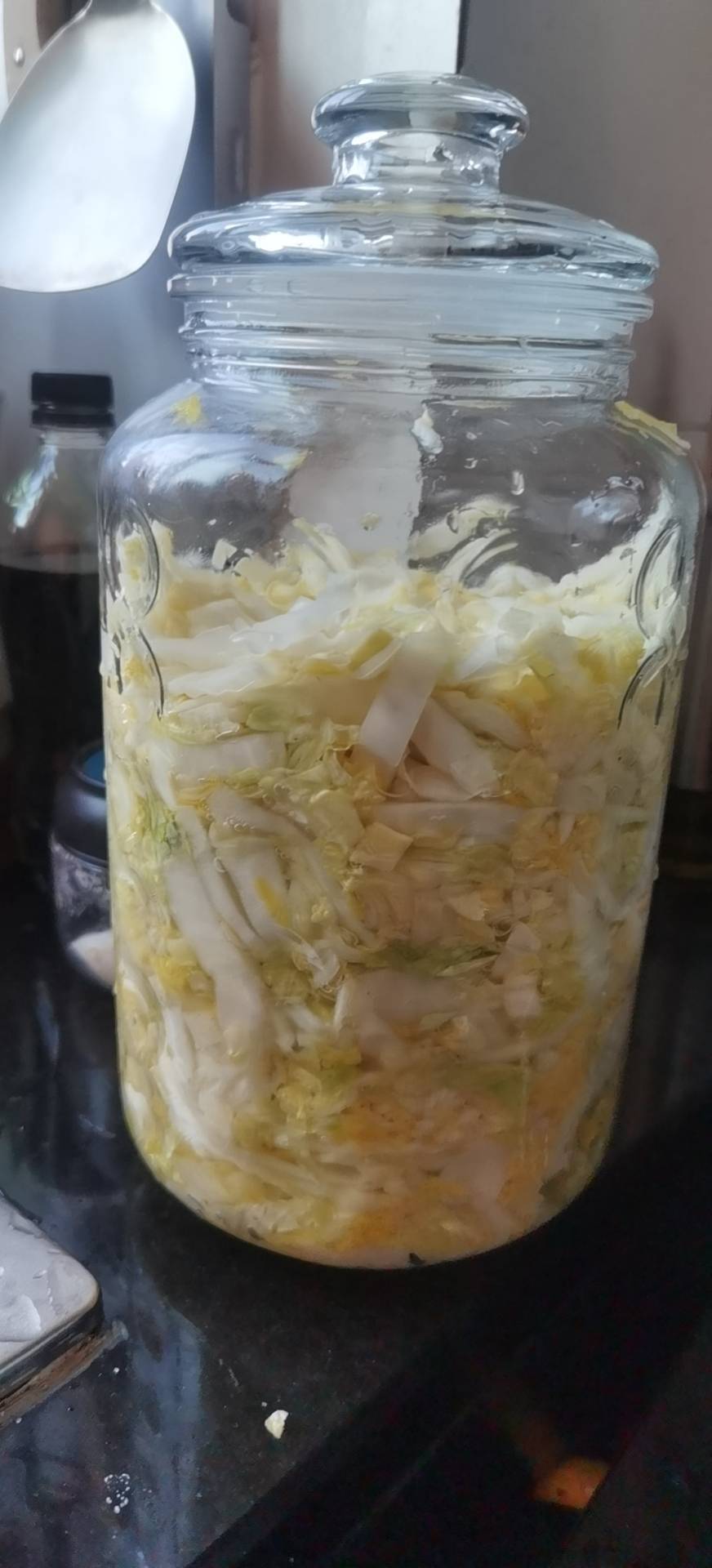 100%成功的积酸白菜