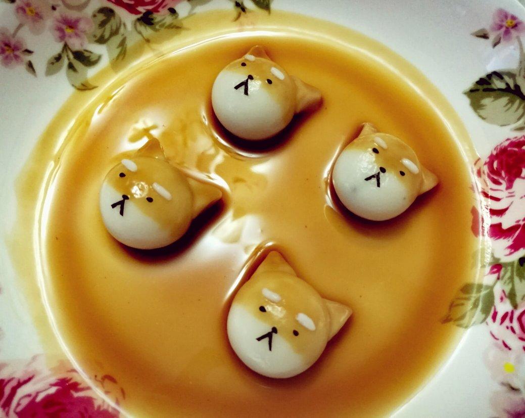 巨萌的柴犬团子