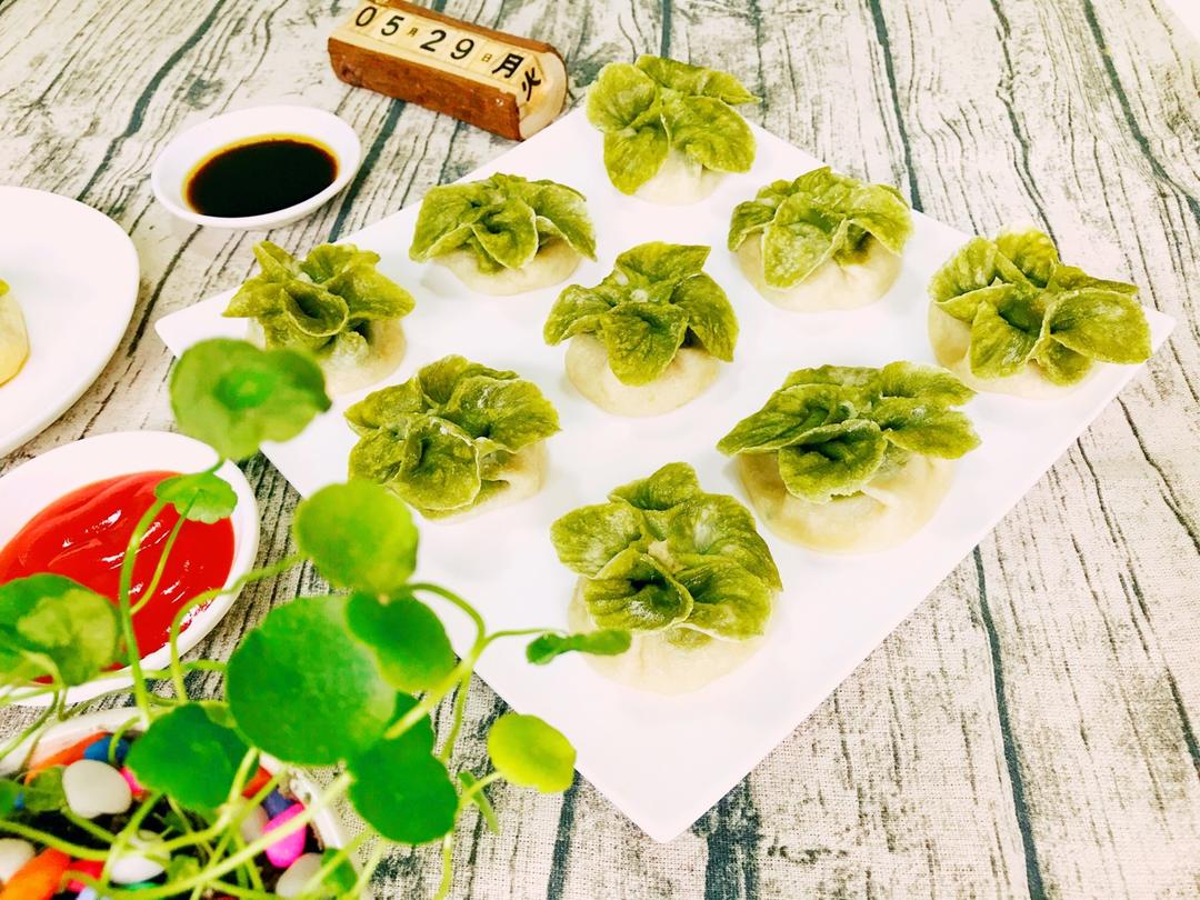 水调面团---白菜饺子（附视频）