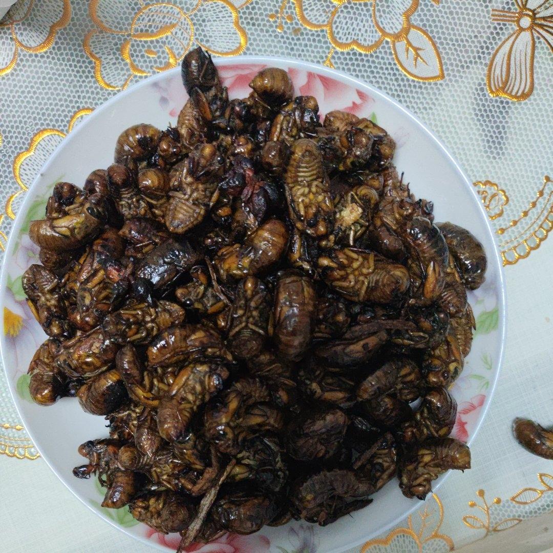 油炸金蝉