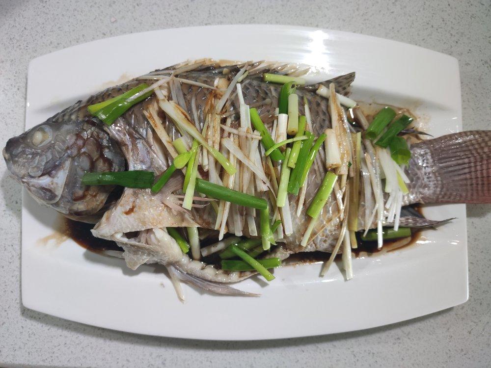 过年餐桌上少不了的菜——清蒸罗非鱼