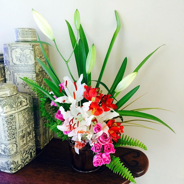 我家的花花草草