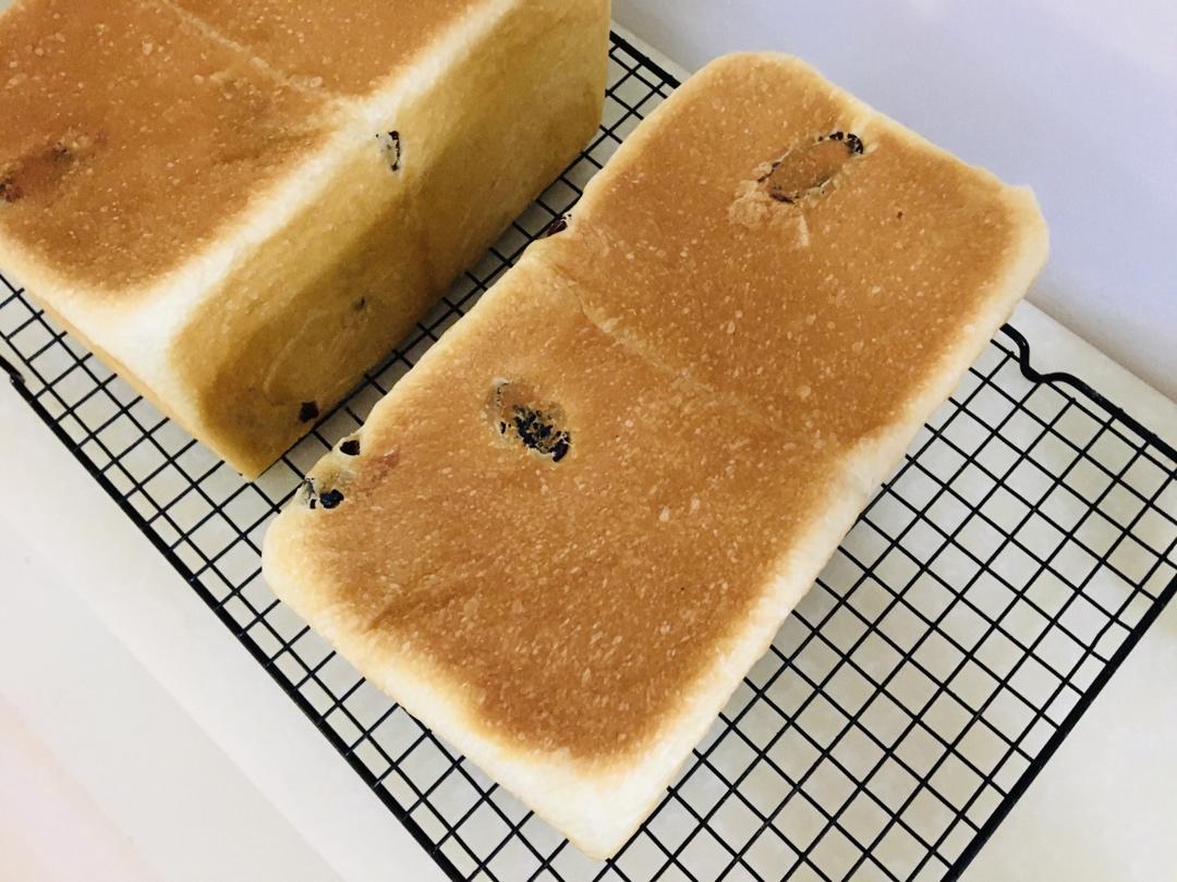 预祝冬安 明石克彦老师的提子吐司