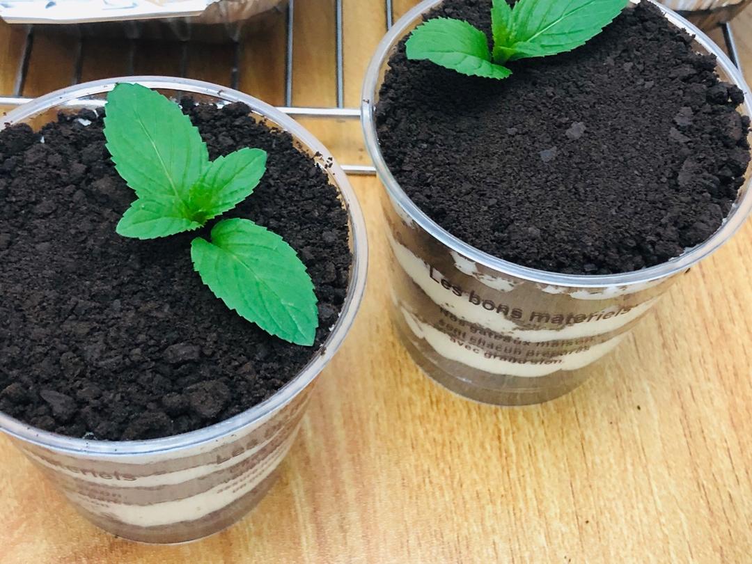 清凉杯——蓝莓酸奶木糠杯