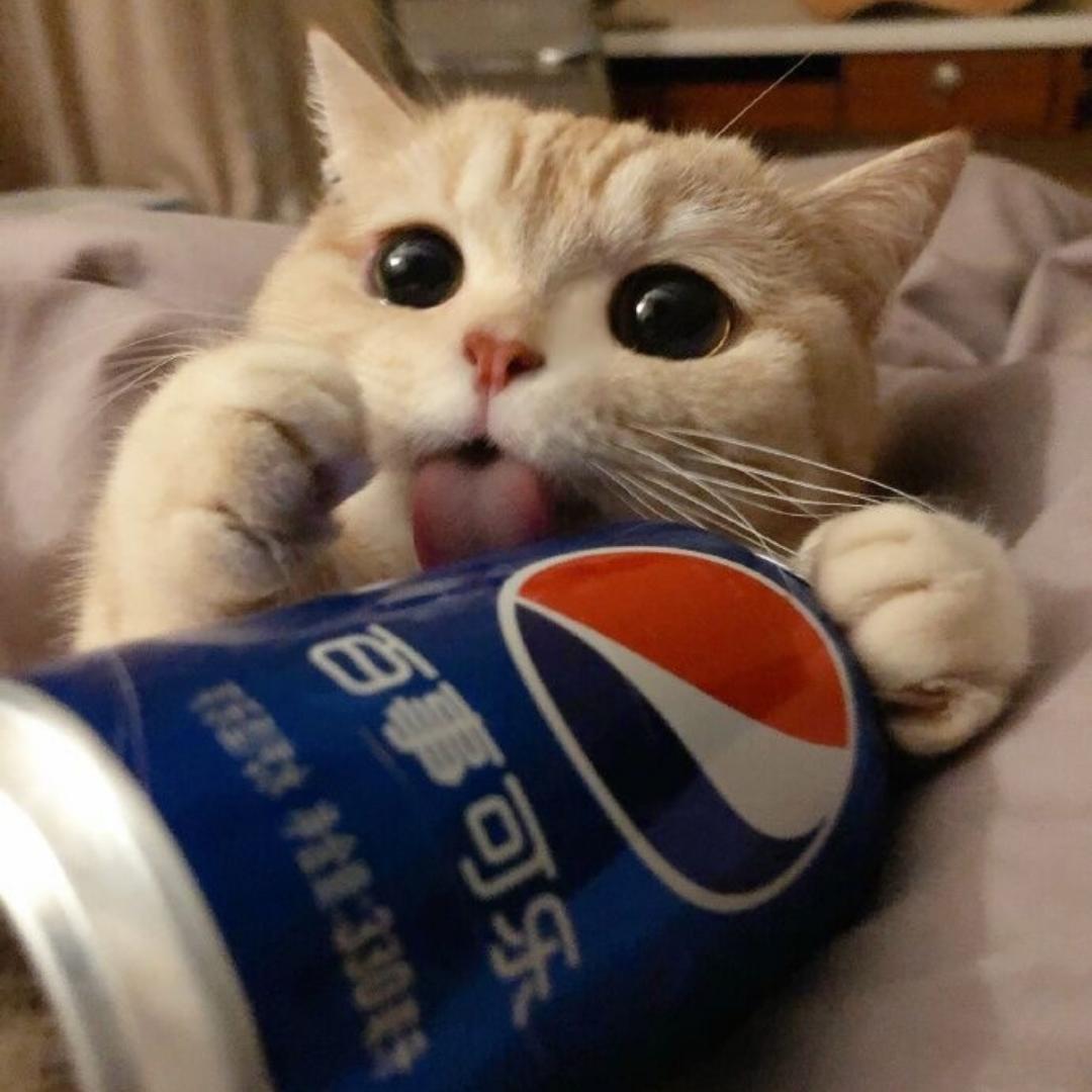 小南_啦啦啦