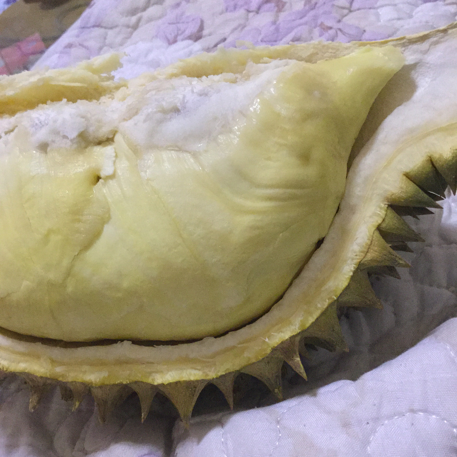 伱开过的那些榴莲