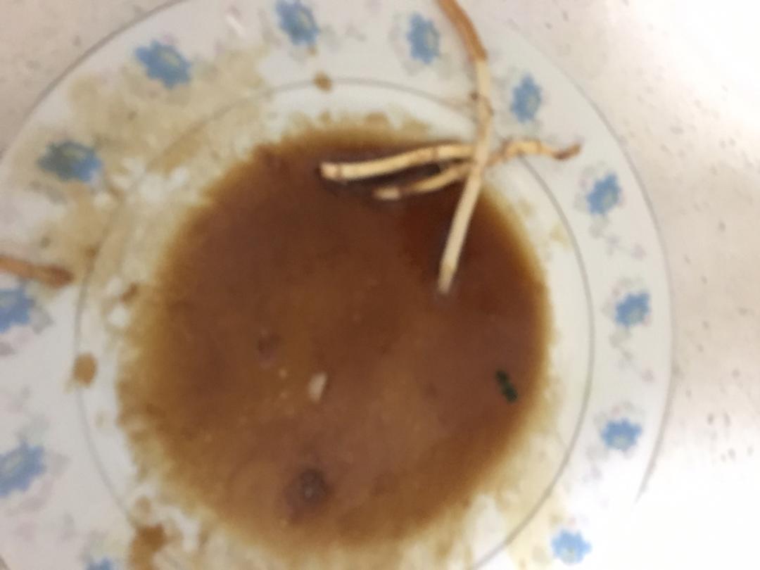 鱼腥草（炒制版）