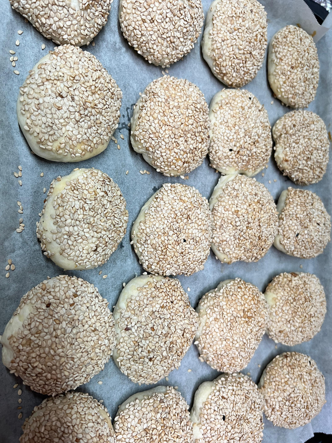 糖心芝麻烧饼
