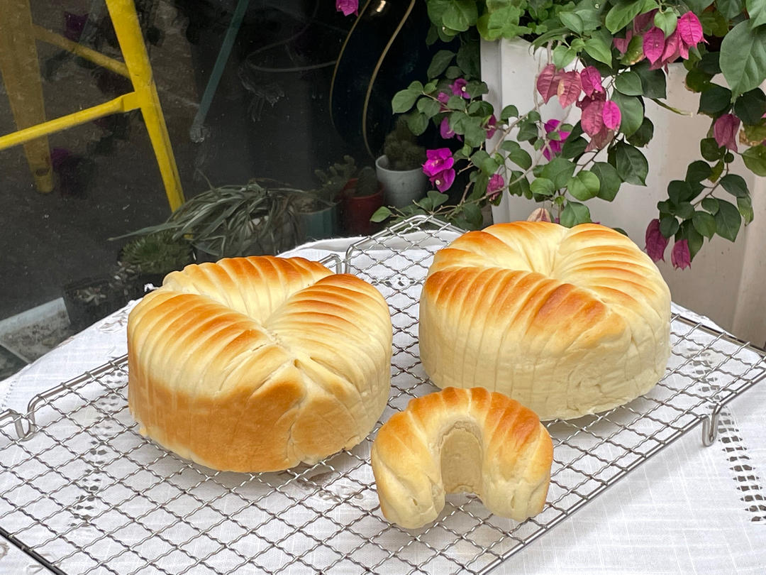 特浓椰皇手撕面包 ❘ 可爱の毛线球面包🧶系列