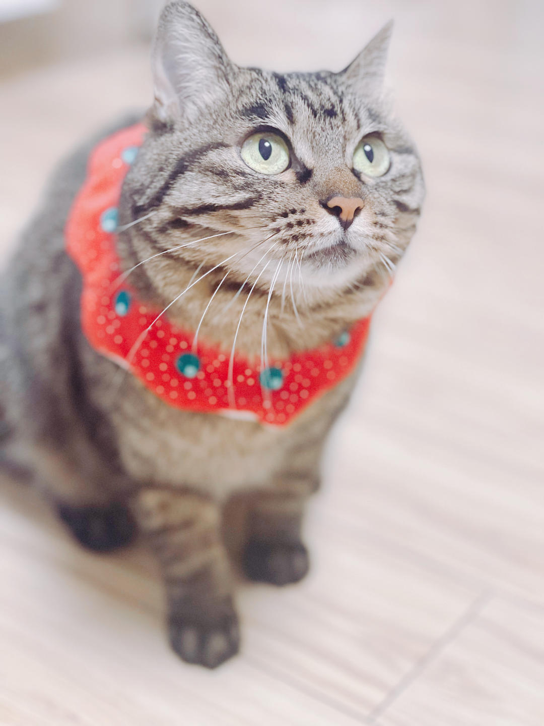 甜甜圈本圈哎呦嘿