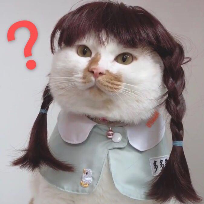 汪汪球