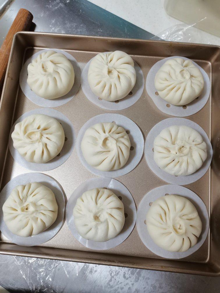 一次发酵肉包子