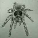 mandd123