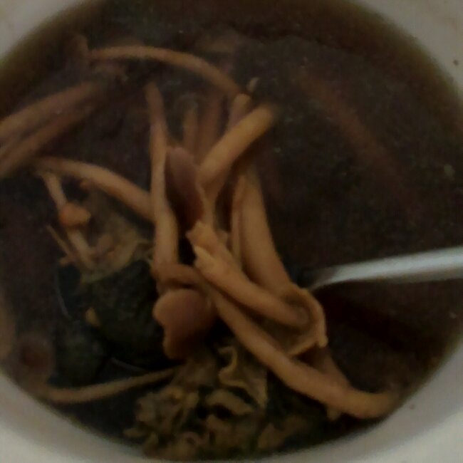 虫草花乌鸡汤