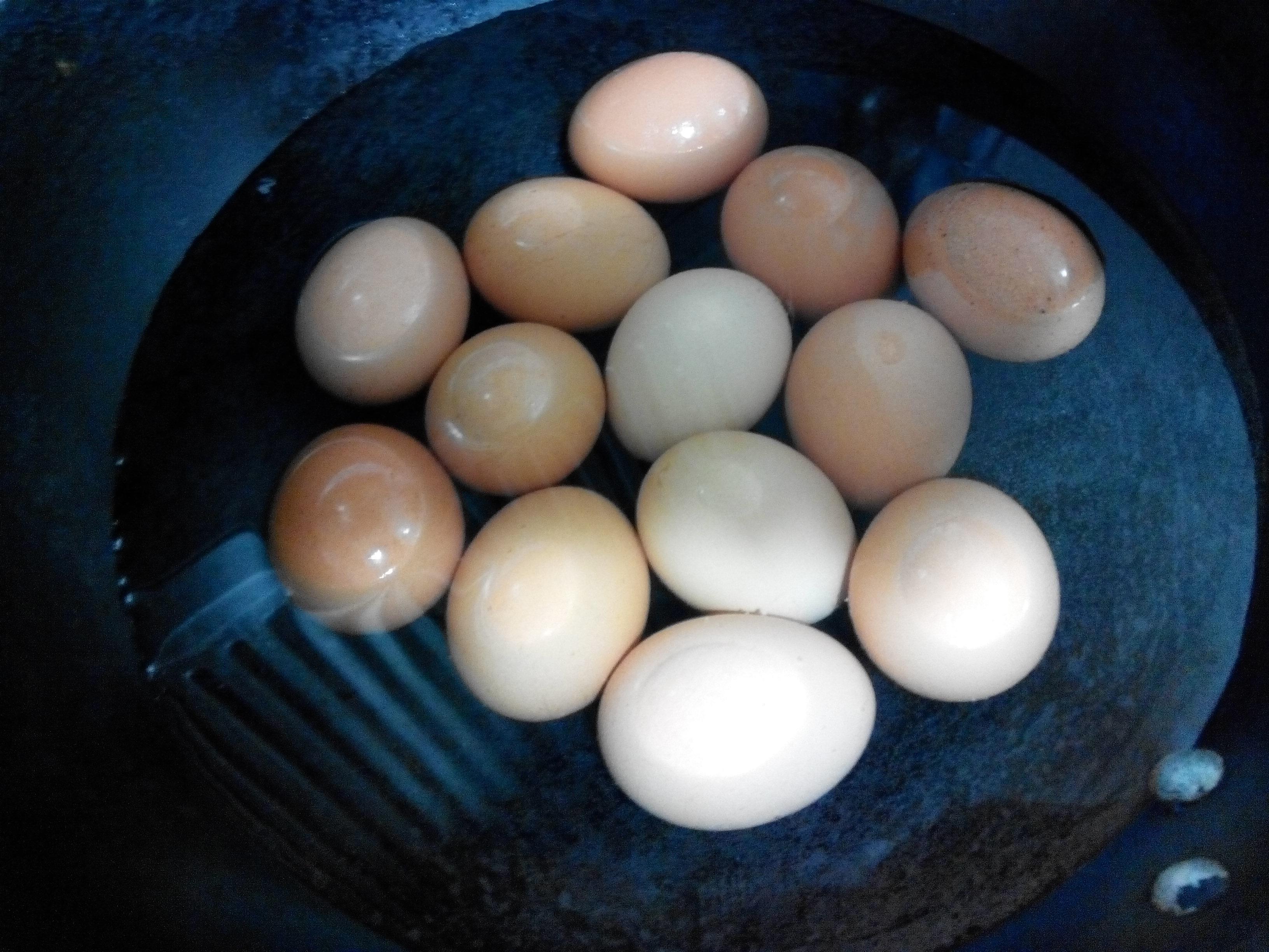被嫌弃的五香卤蛋的做法 步骤1