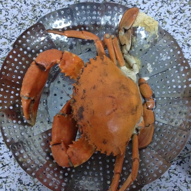 蒸蟹