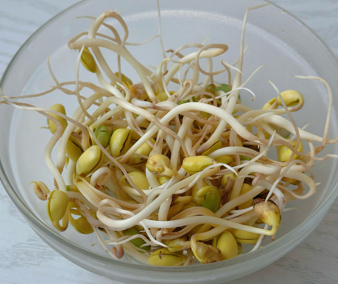 零难度的自发绿豆芽