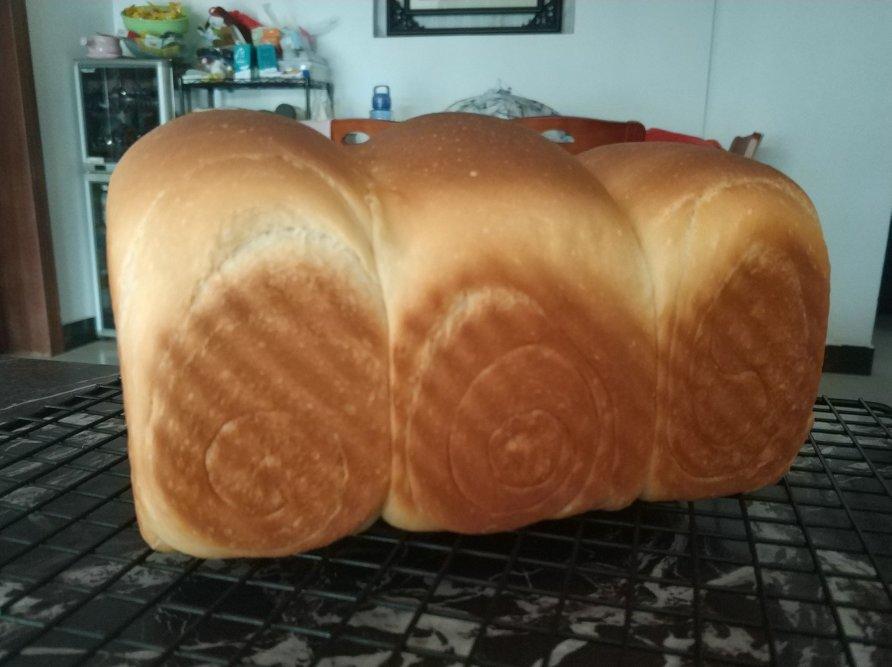 玉米油版一次性发酵吐司