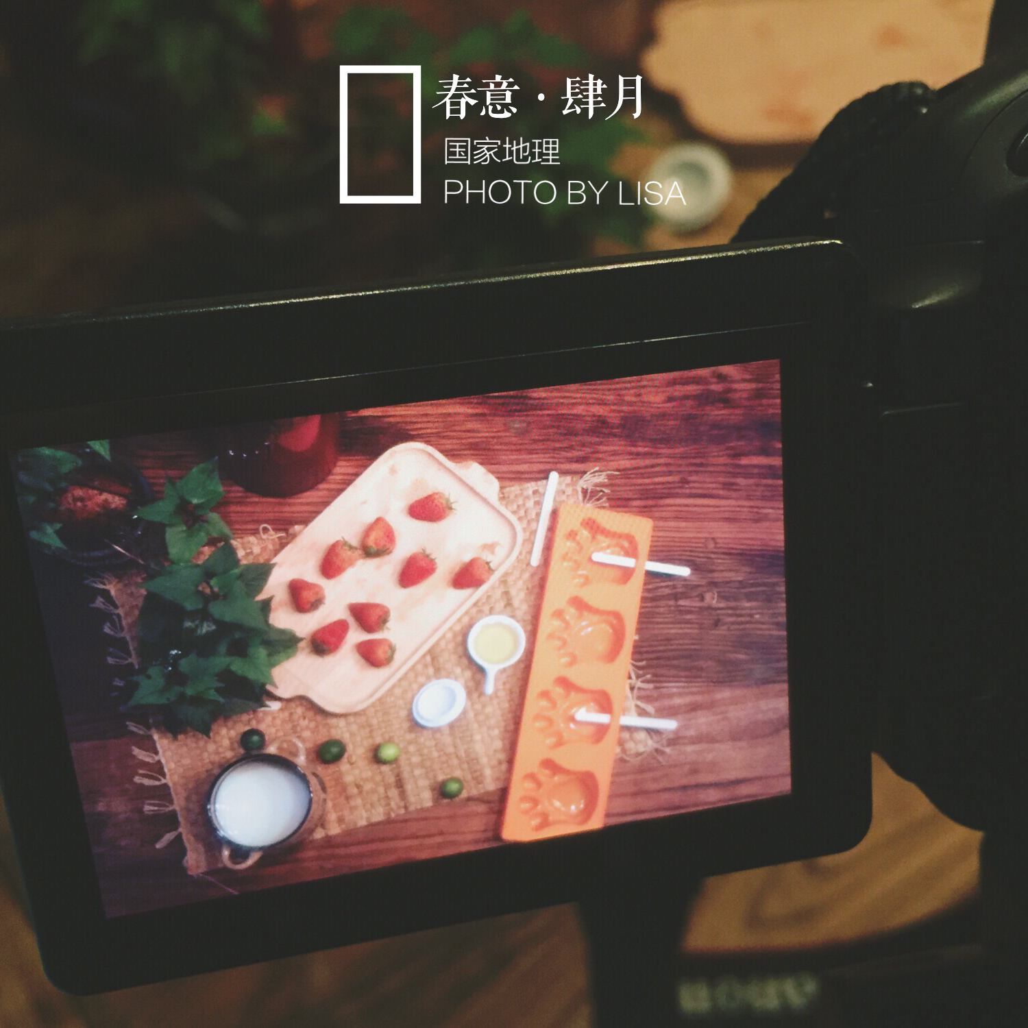 晚餐•2016年4月15日