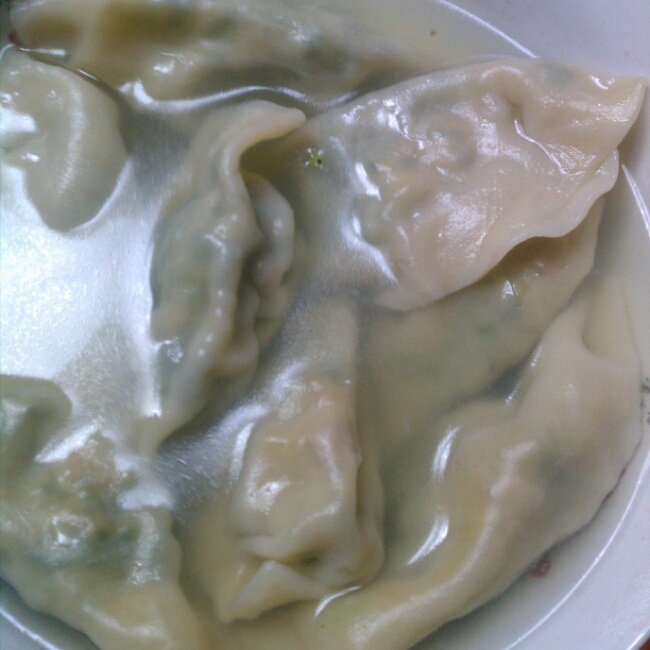 猪肉韭菜饺子