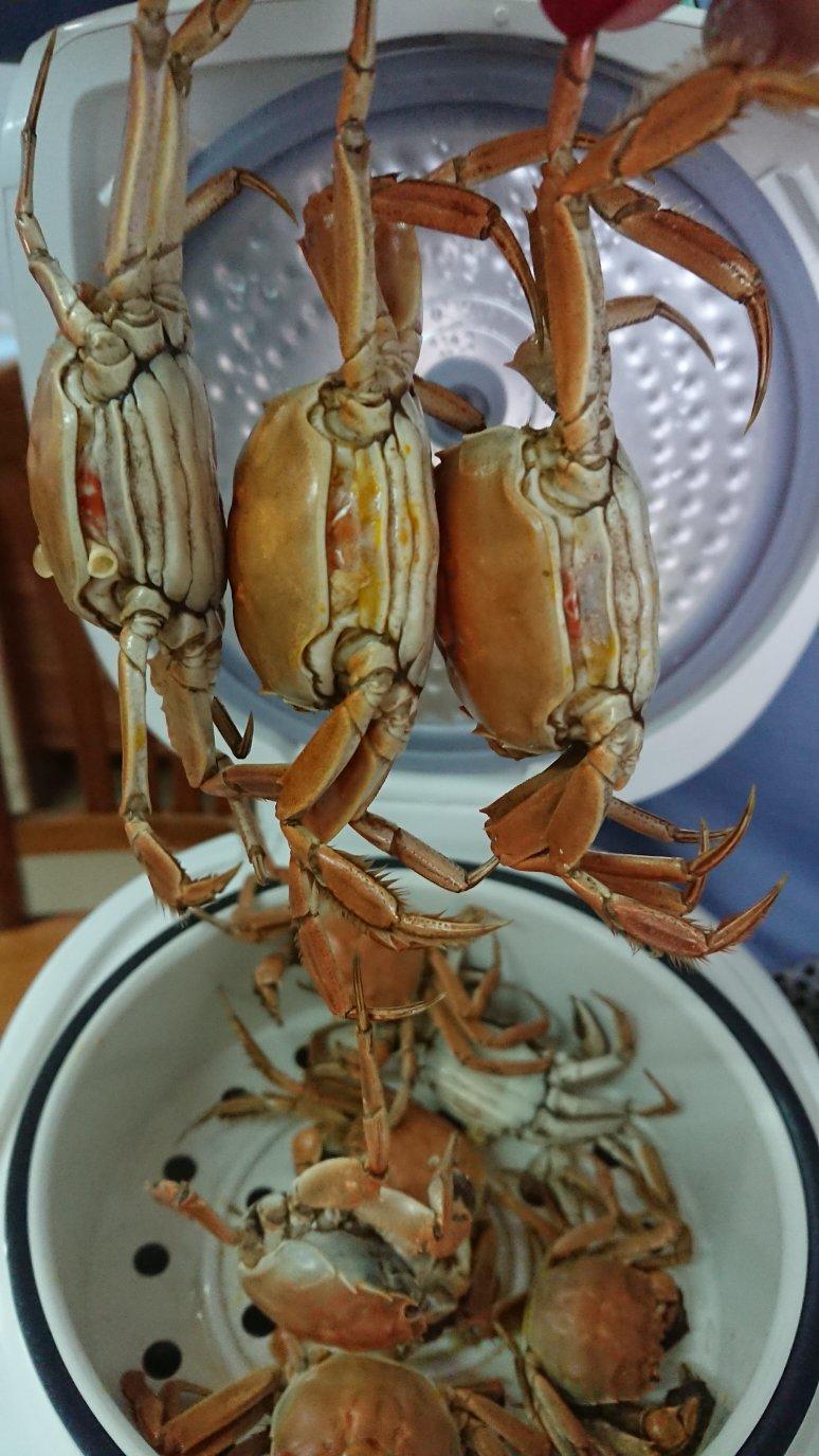 清蒸大闸蟹