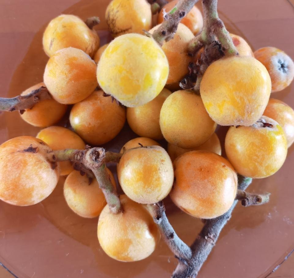 橙香鸡蛋杯【5-6月北鼎养生壶食谱】