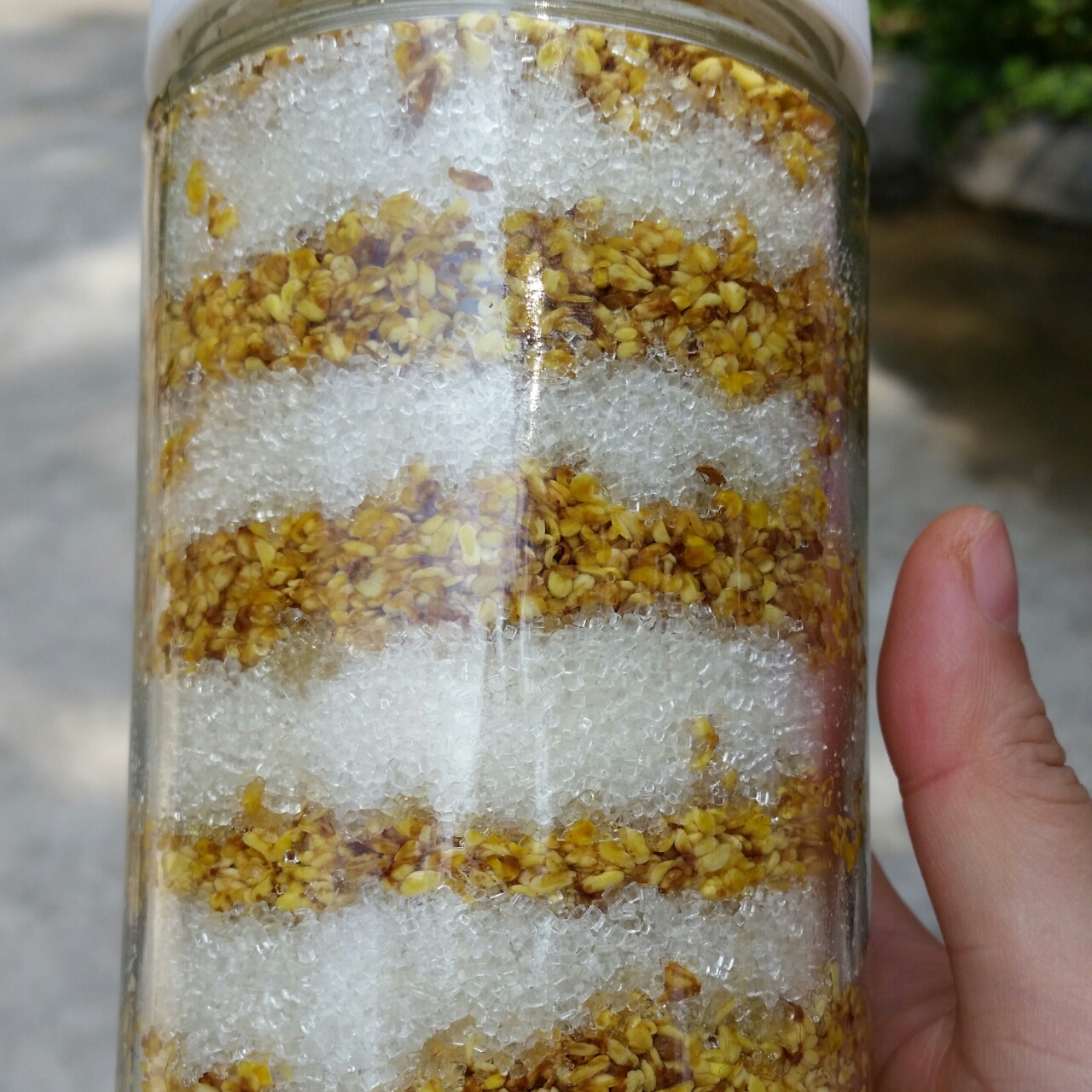 awei9958做的自制糖桂花