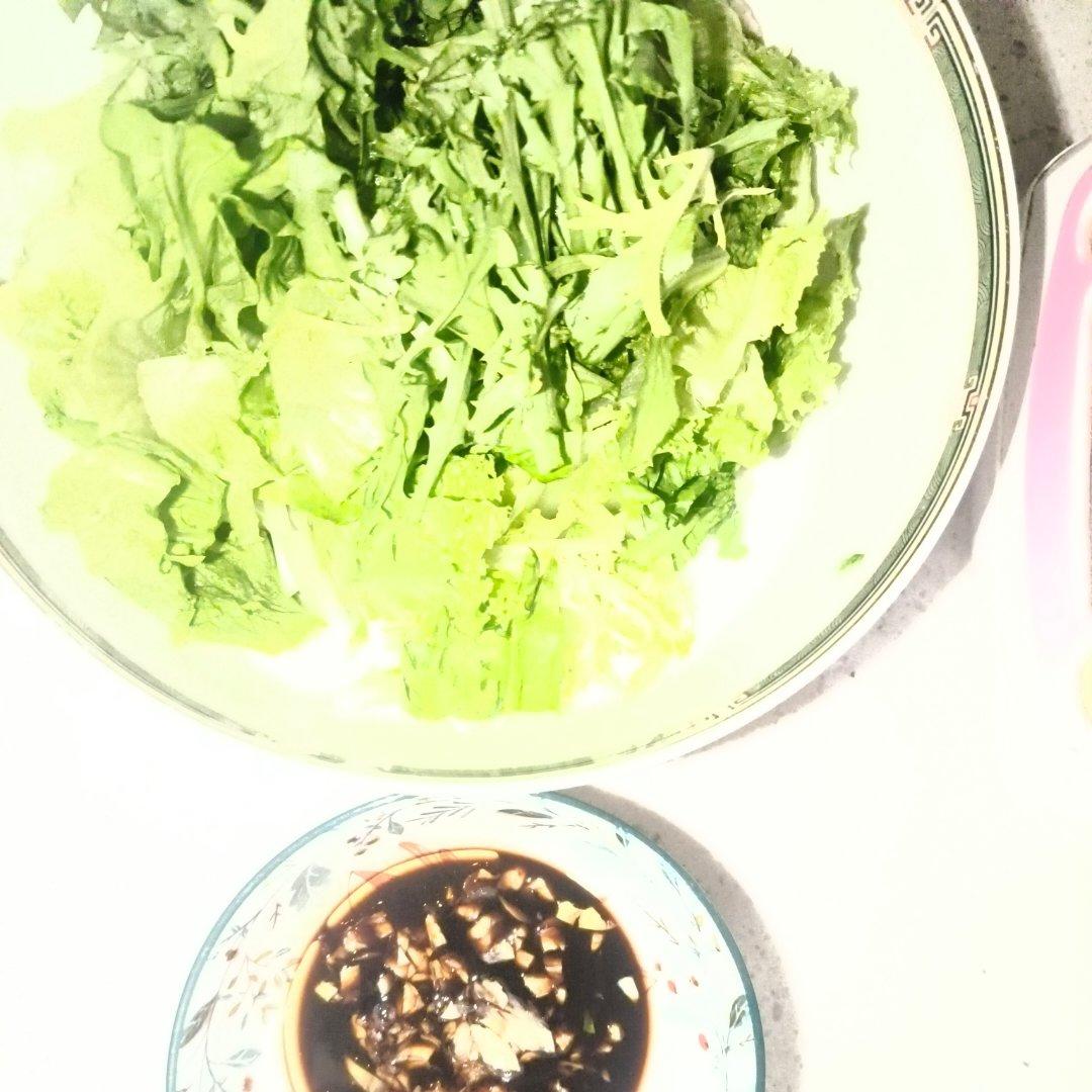 凉拌苦菊——简单爽口