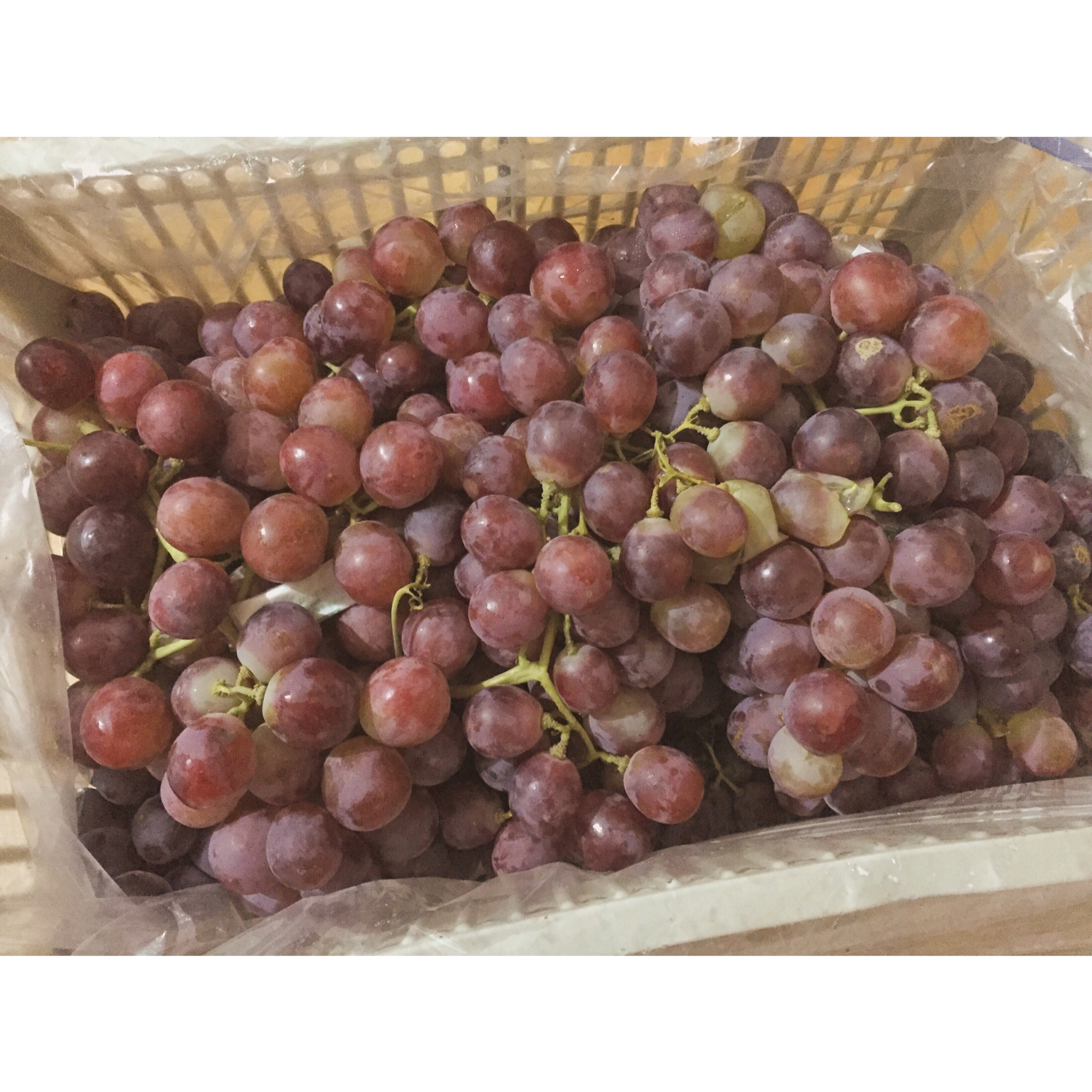 爸爸的行李箱