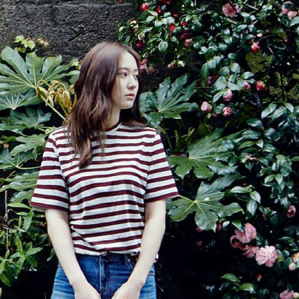 古德猫宁和古德奈特