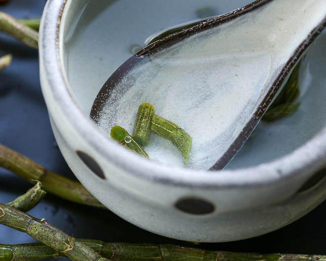 新鲜石斛茶的做法