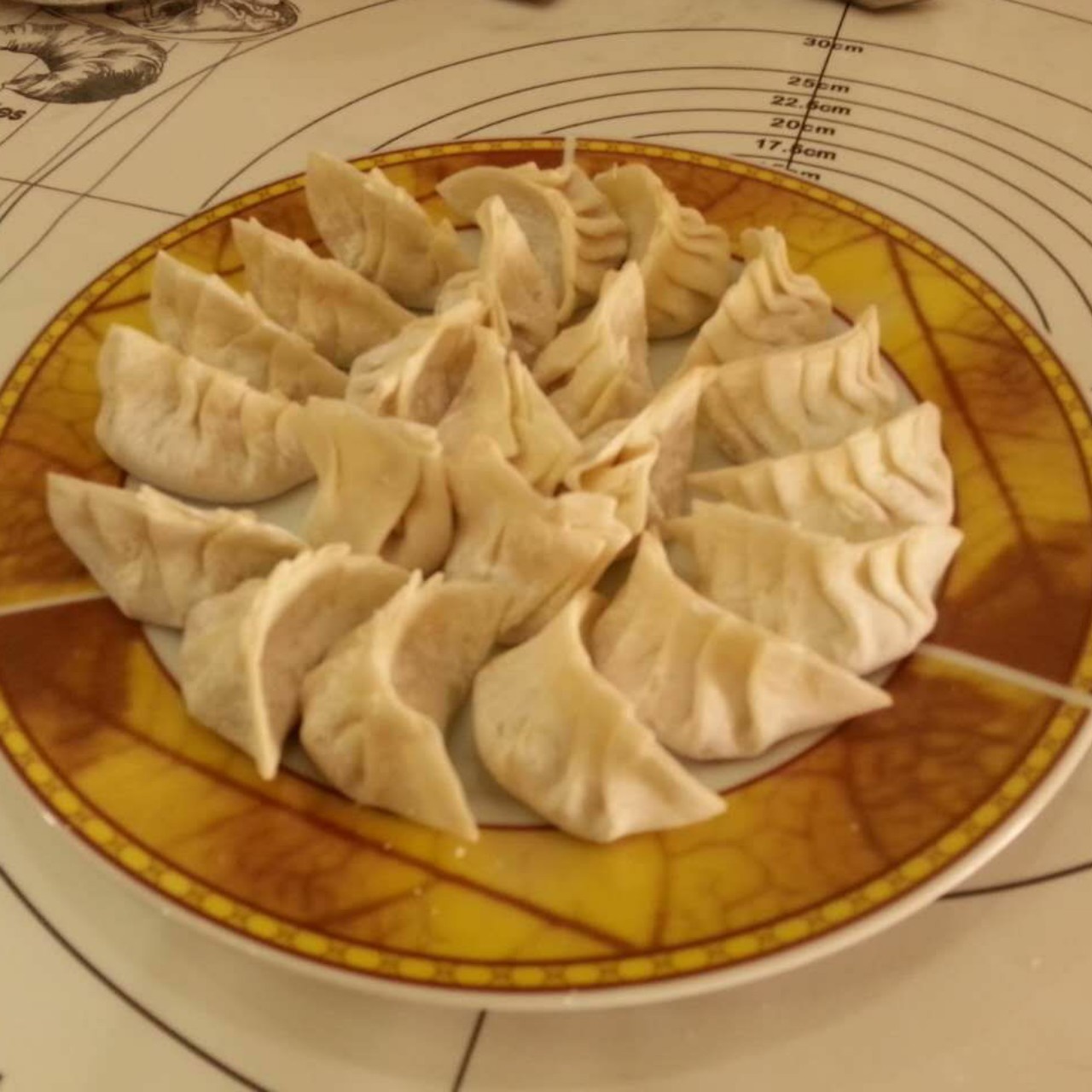 韭菜猪肉饺子(最简单最好吃又最多汁的饺子)