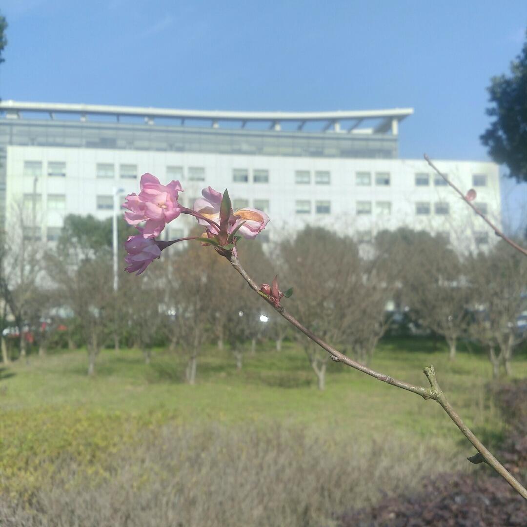 风清月
