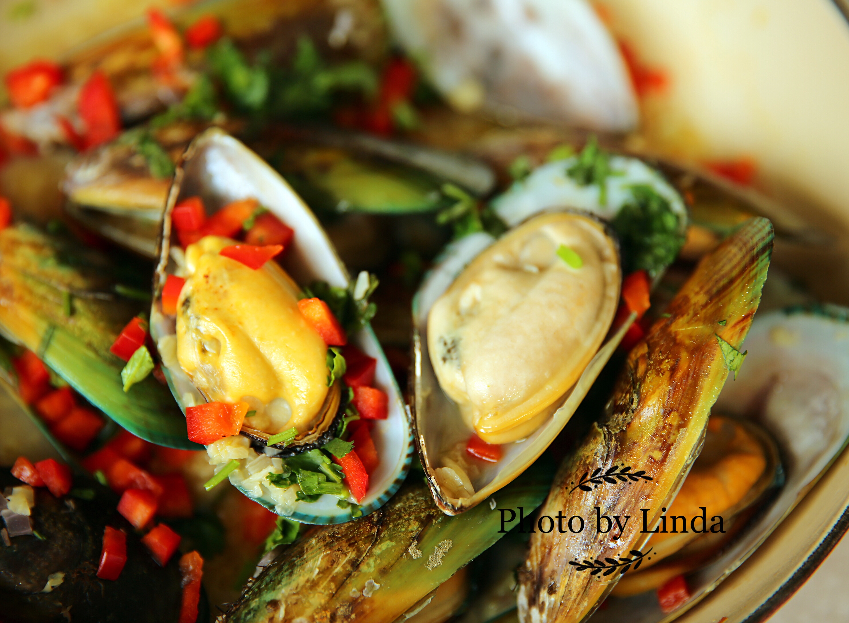 新西兰青口贝mussel（最原始最鲜美的做法）超级简单/人人都可以成为别人羡慕的大厨，超详细步骤图，铸铁锅的做法