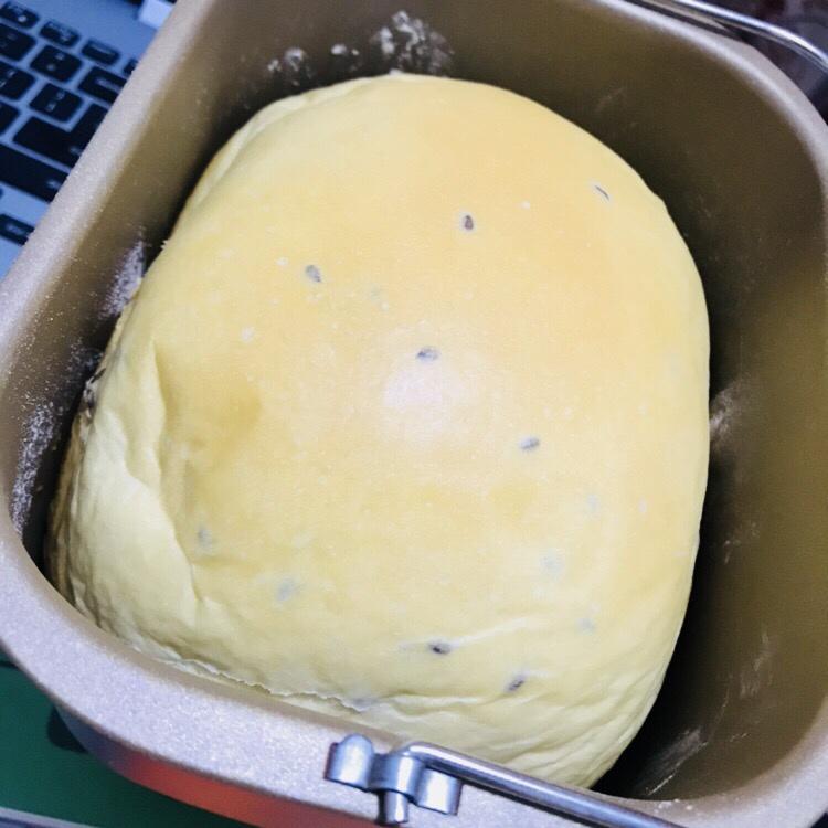 提子土司（柏翠面包机PE6280）自用方子