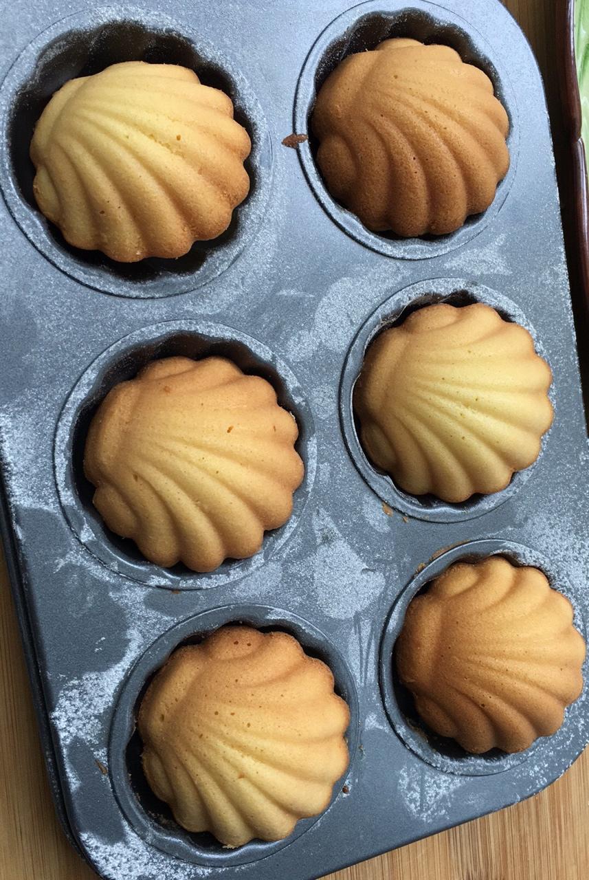 简单的贝壳蛋糕