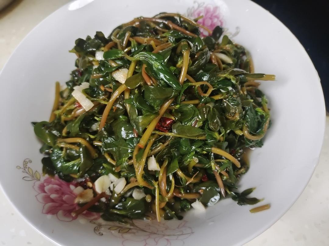 爆香马齿苋