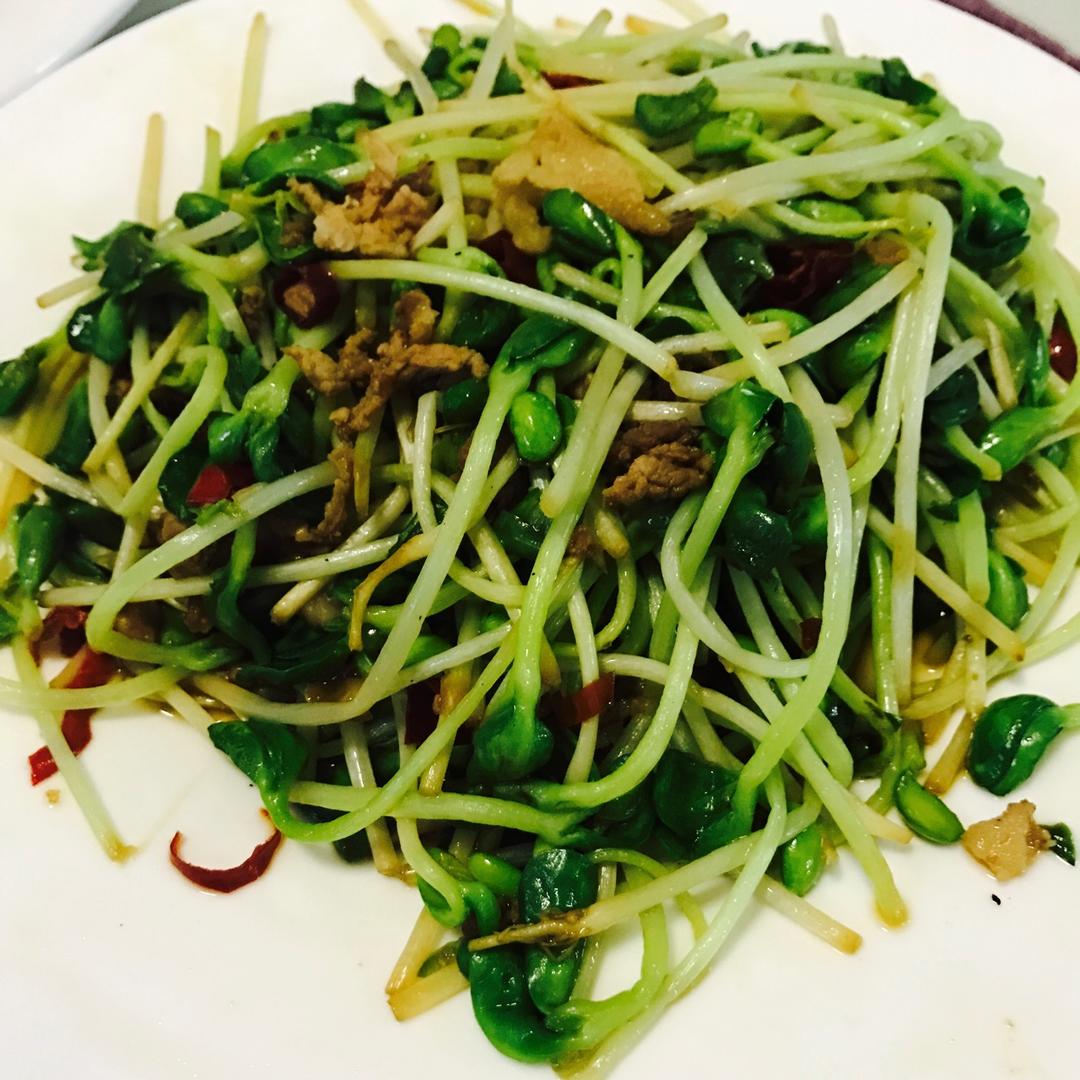 绿豆芽炒肉