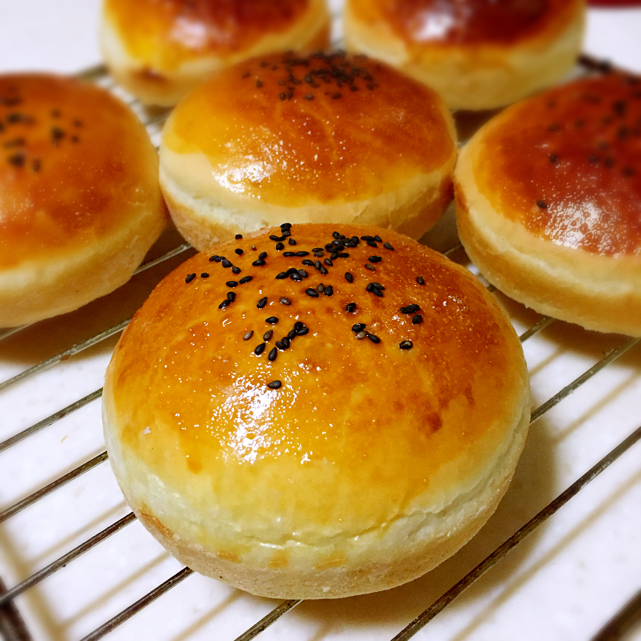 汉堡胚（中种法）