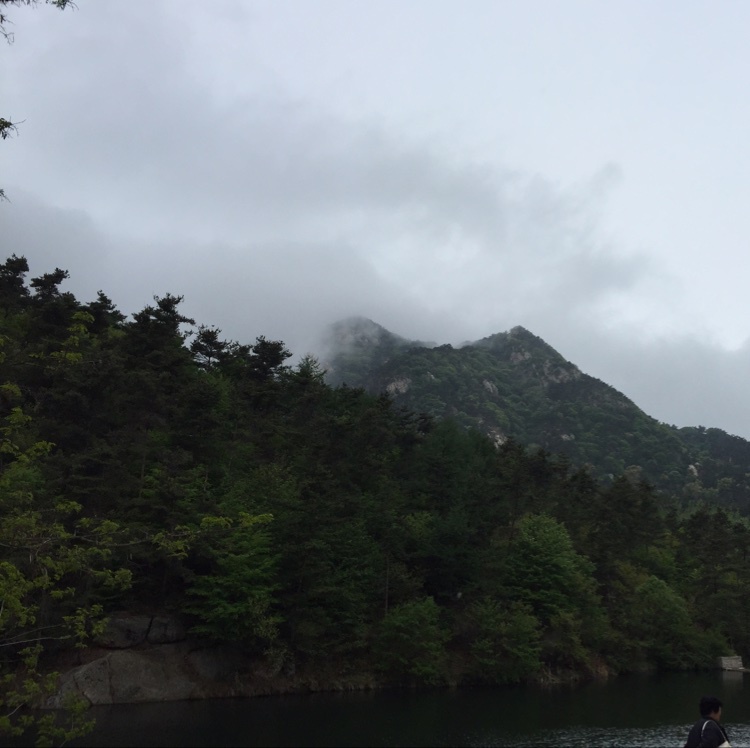 春色满园