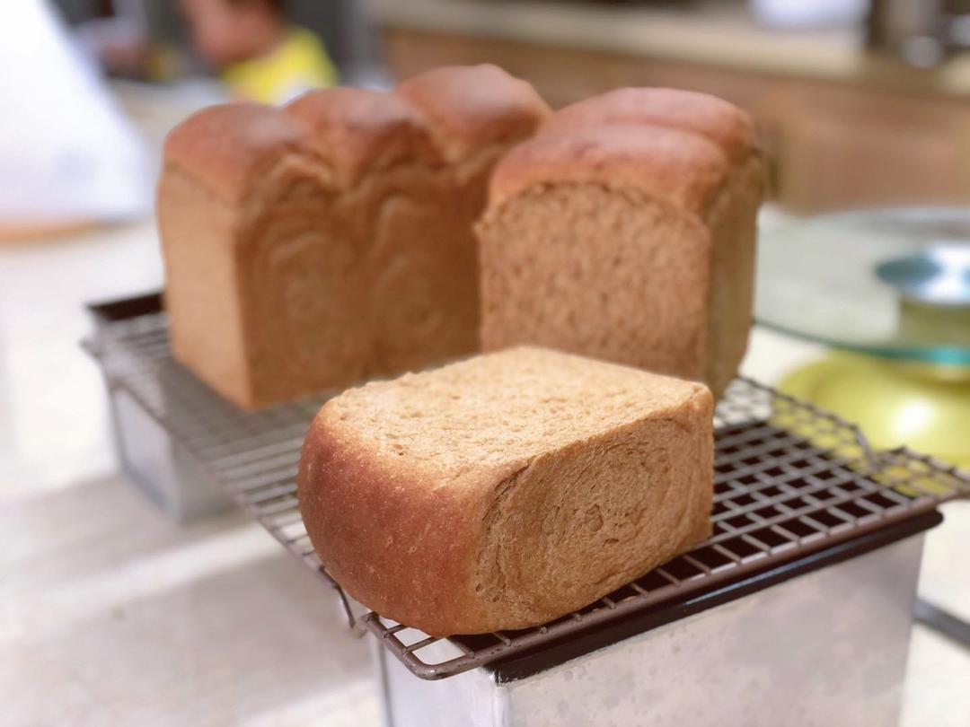 100%纯全麦吐司 汤种全麦