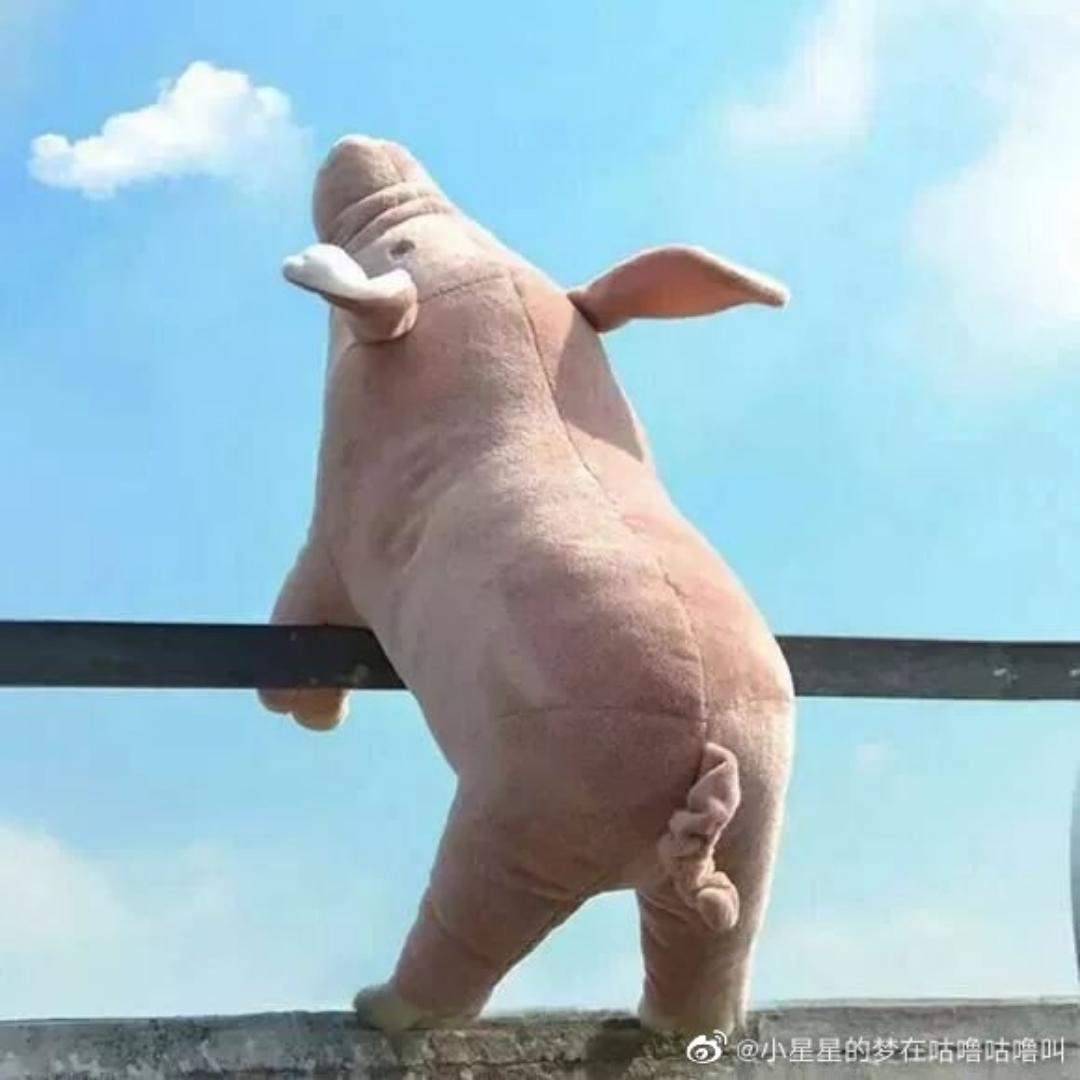 mini_yun