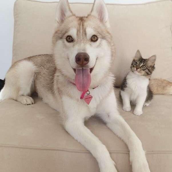 手机用户4353_hfqg